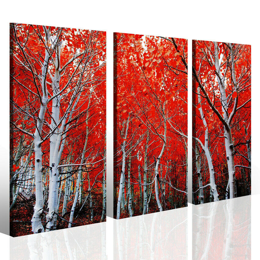 Quadro White tunk paesaggio stampe su tela casa design alberi autunno natura