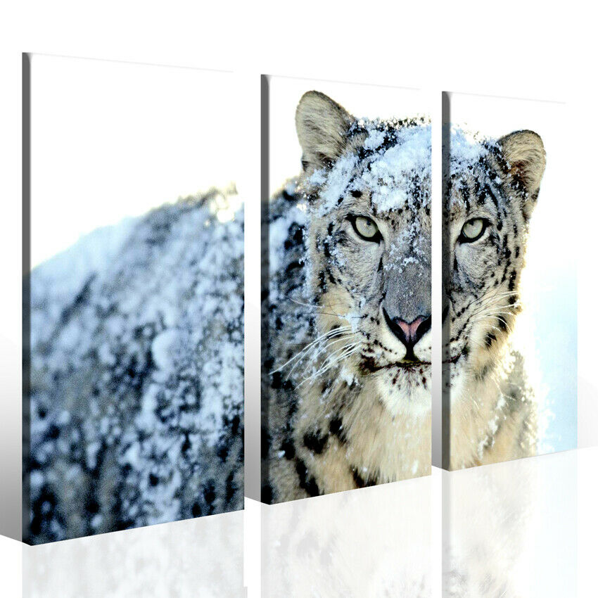 Quadro animali Perfect machine stampa moderna con immagini invernali neve