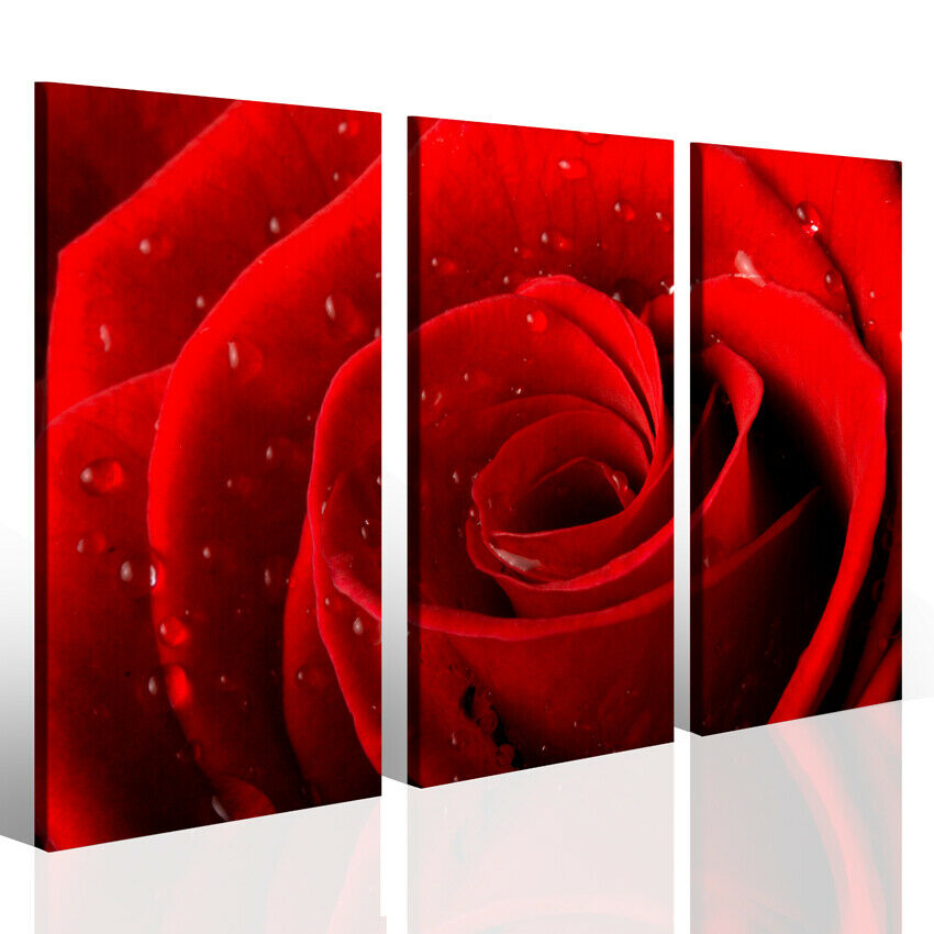 Quadro con rosa rossa Red rose III stampa di qualità su tela canvas trittico