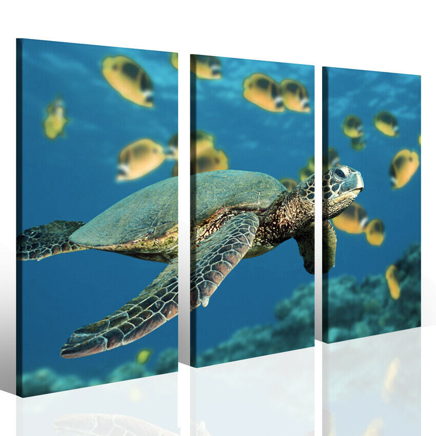 Quadro tartaruga marina Turtle stampa su tela canvas scenario marino pesci